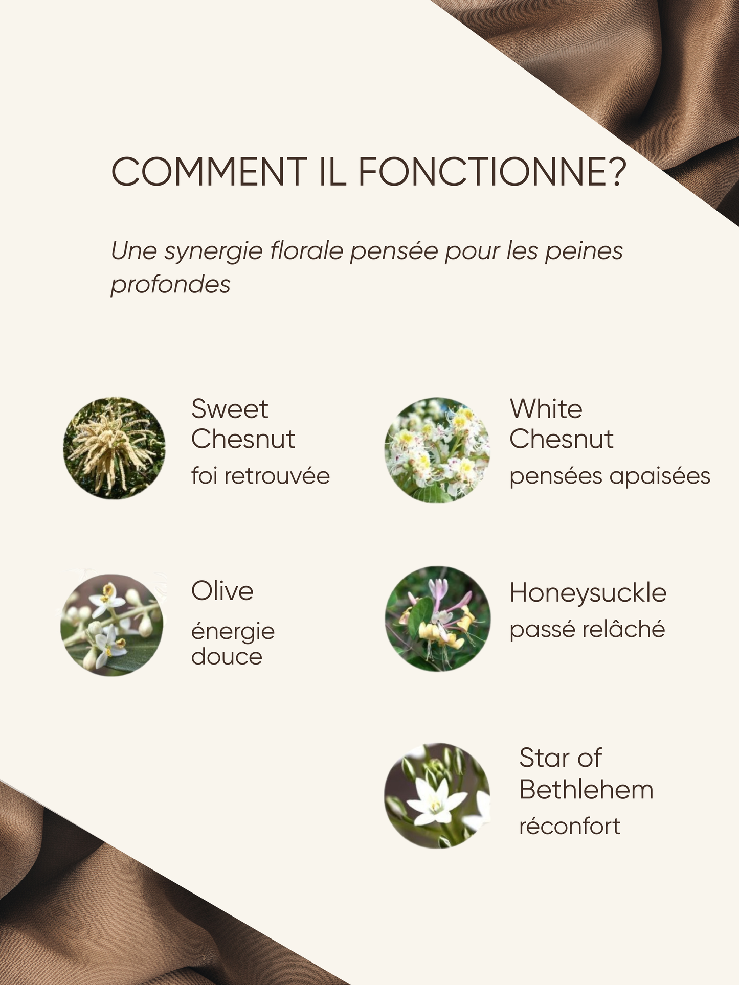 Réconfort & guérison - Lumière d'âme