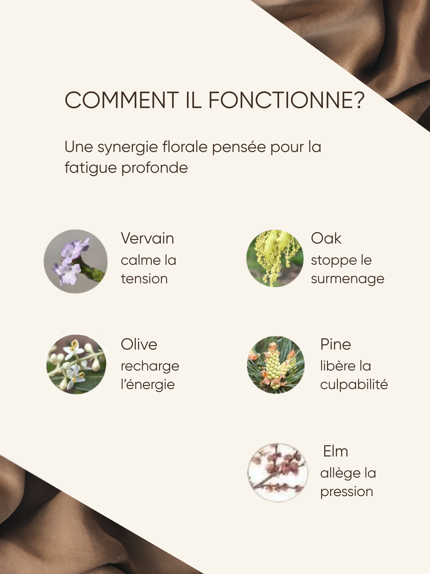 Vitalité & force - Énergie divine