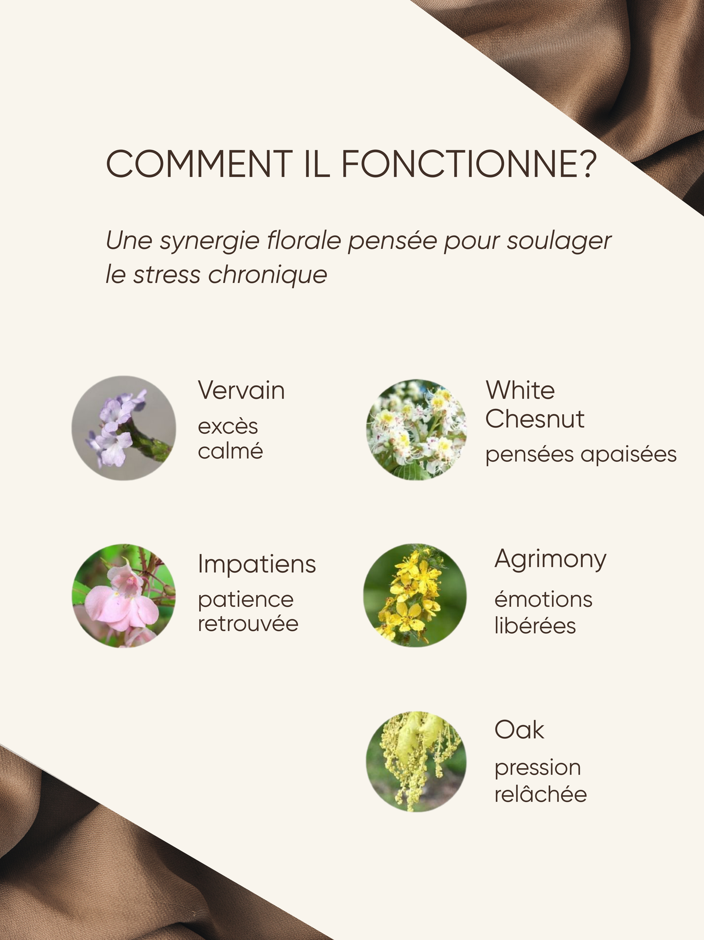 Silence mental & apaisement - Harmonie Céleste