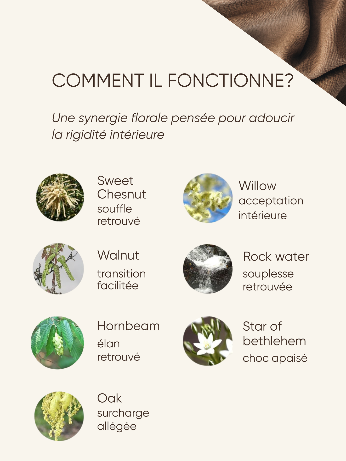 Lâcher prise & libération - Légèreté Céleste