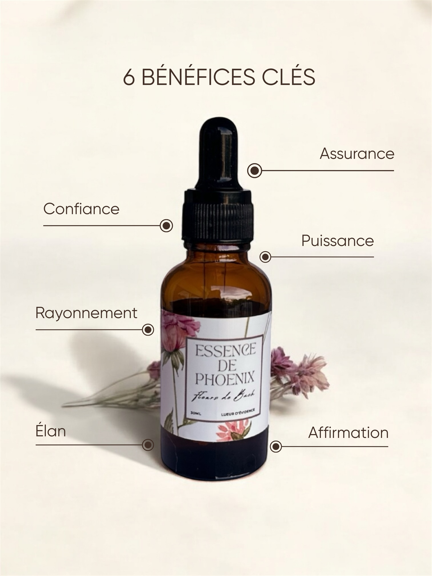 Élan & affirmation - Essence de Phoenix