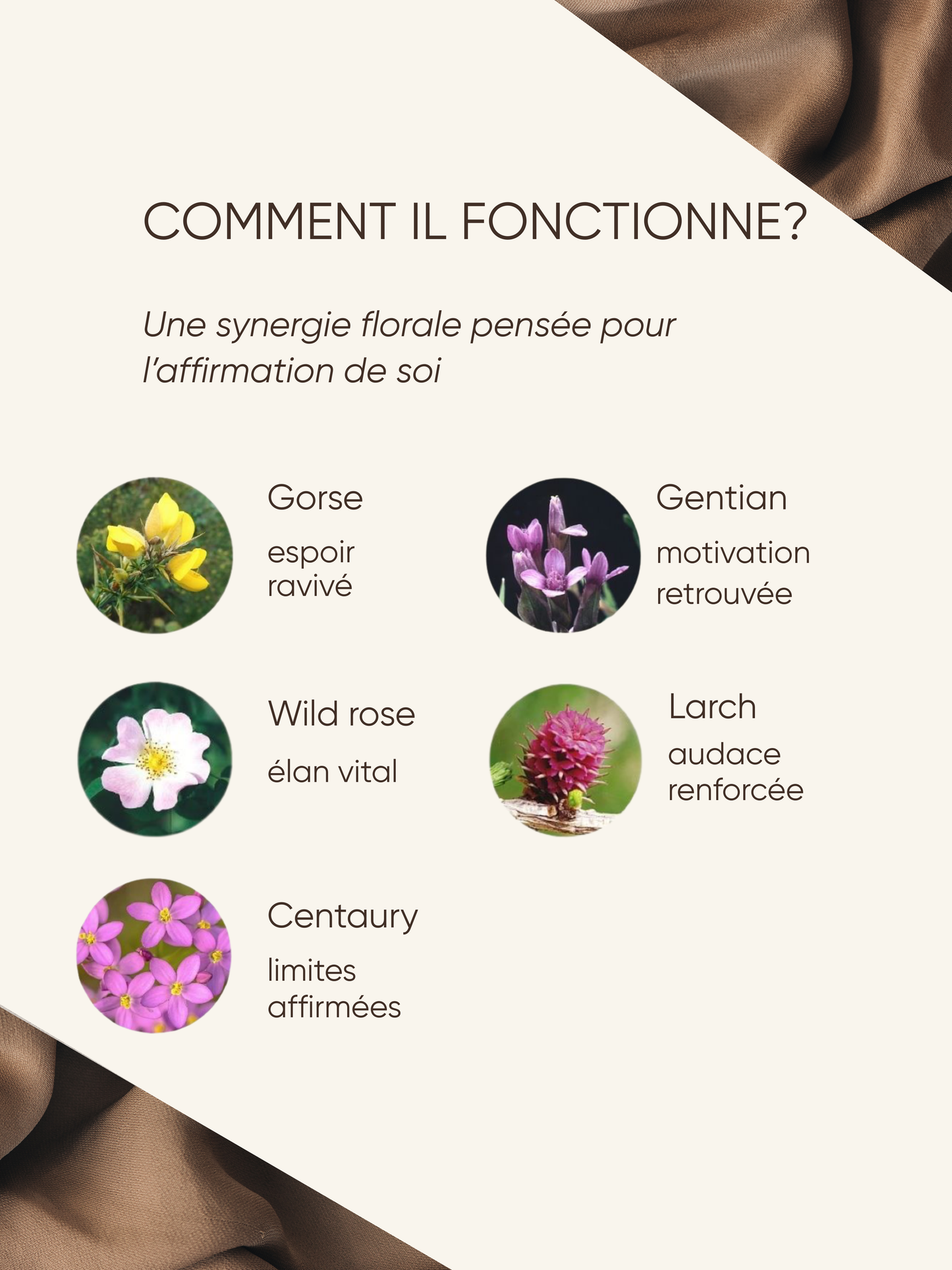 Élan & affirmation - Essence de Phoenix